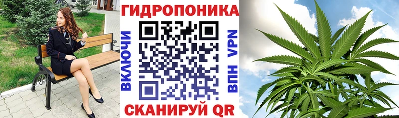 Канабис гибрид Костерёво